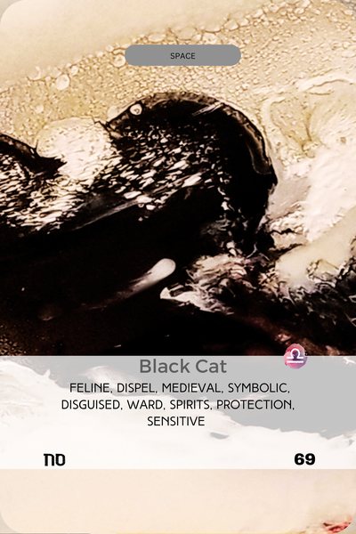 Card 69 of the Empathic Mirror deck by Joline Renn